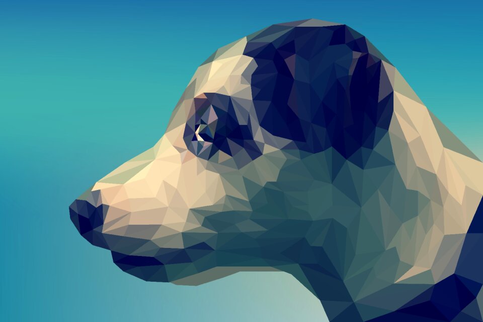 Pet happy dogs