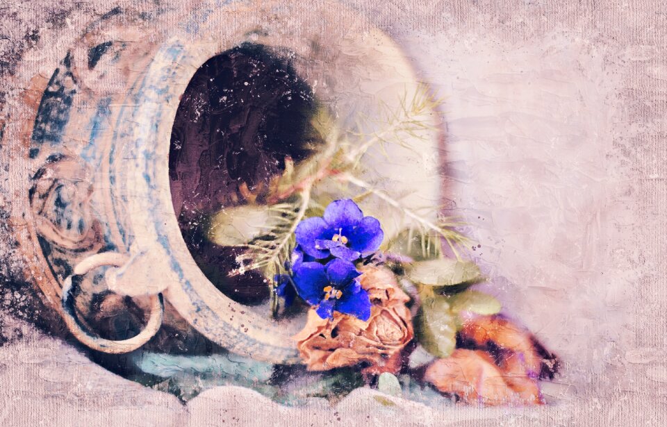 Still life living nature flora