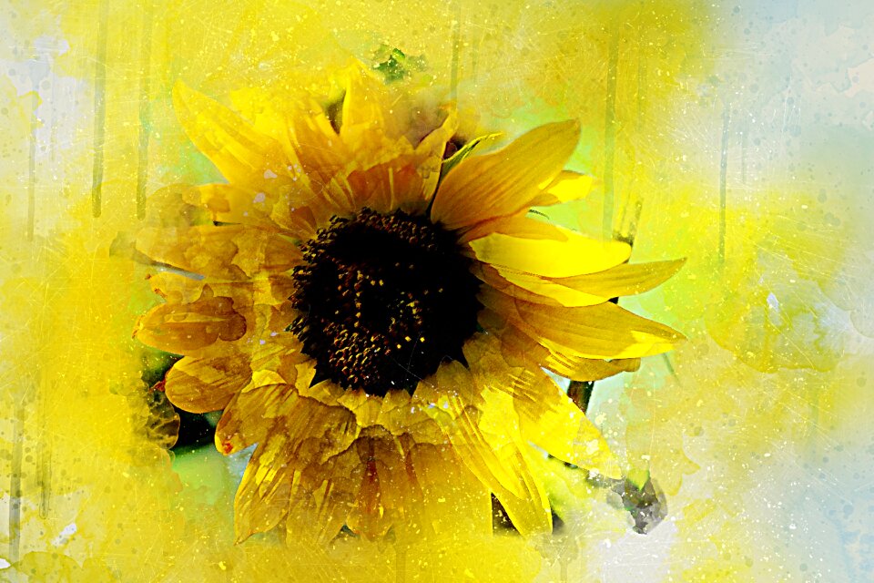 Art abstract watercolor