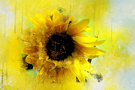 Art abstract watercolor