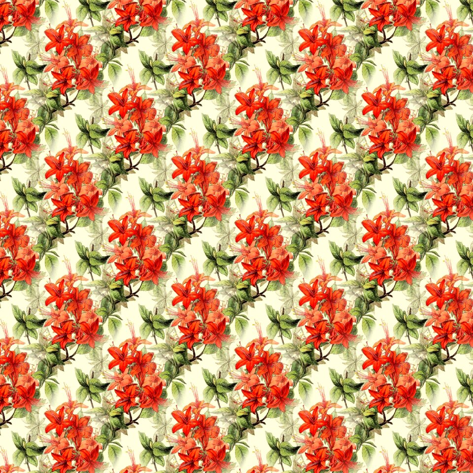 Decorative seamless Free illustrations