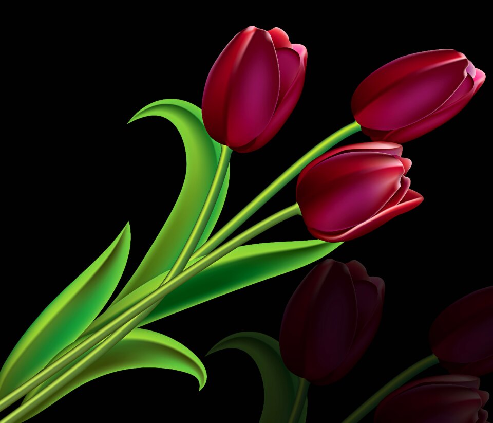 Nature leaf flowers