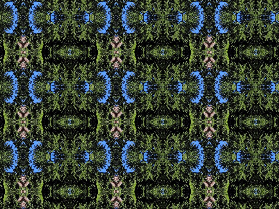 Graphics pattern Free illustrations