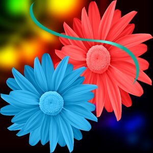 Spring flower color colorful