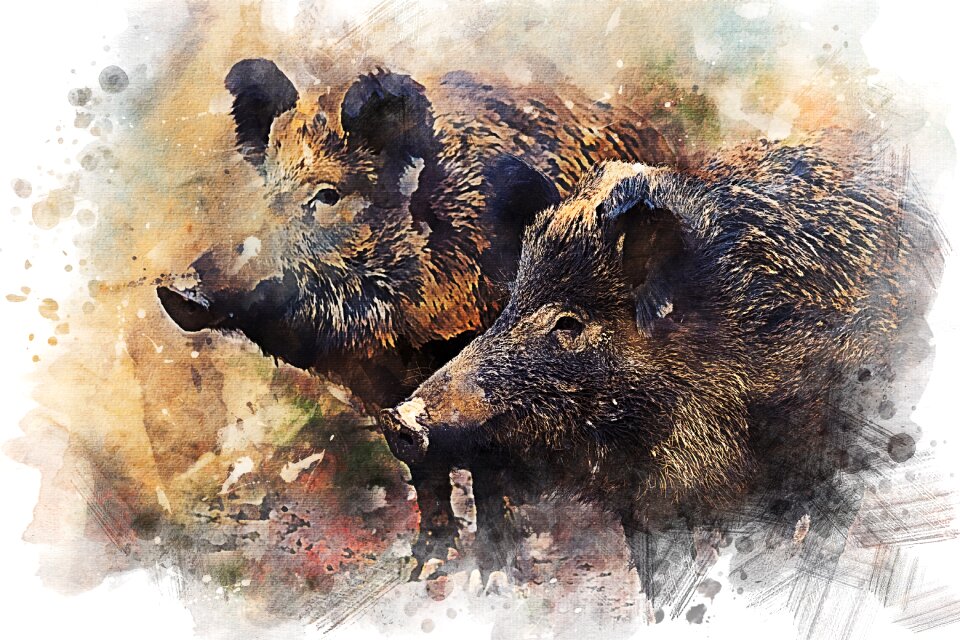 Wildlife snout mammal
