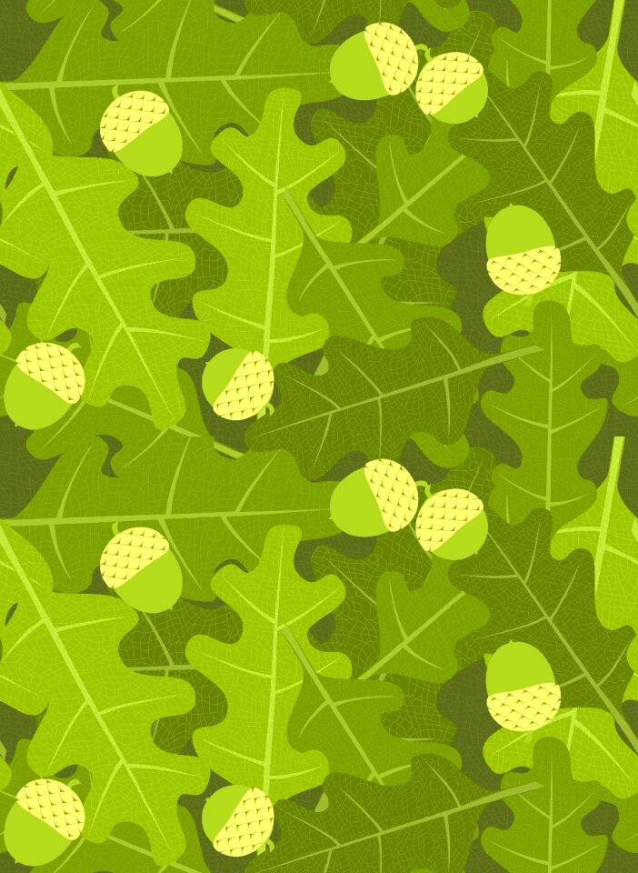 Leaves leaf fruit