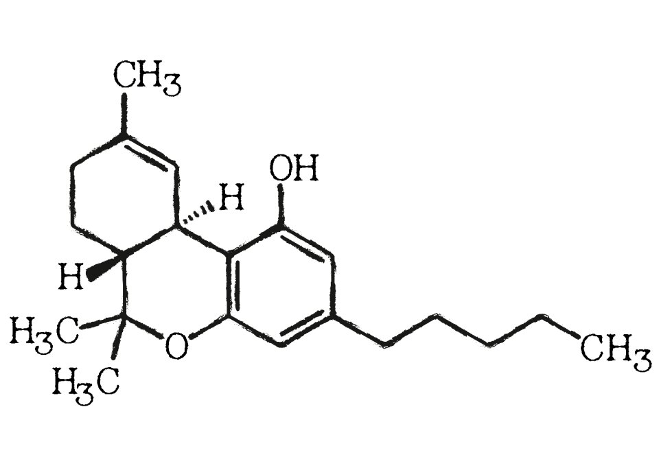 Medicine medical alternative