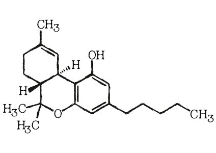 Medicine medical alternative