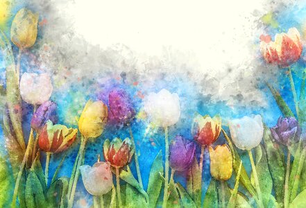 Watercolor art tulip