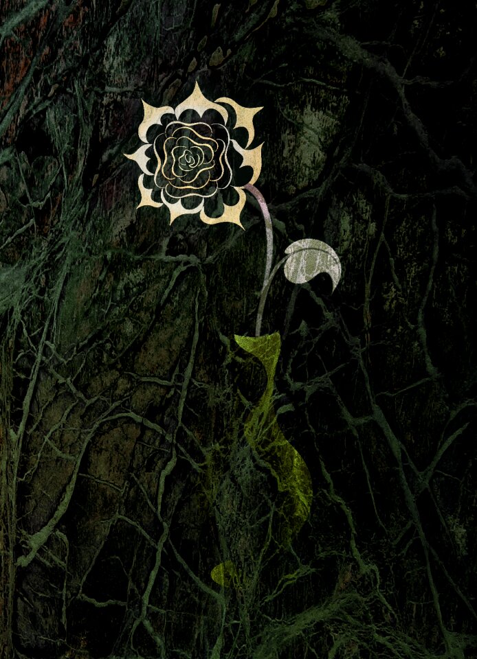 Rose figure illustration