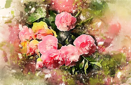 Beautiful flowers nature composition