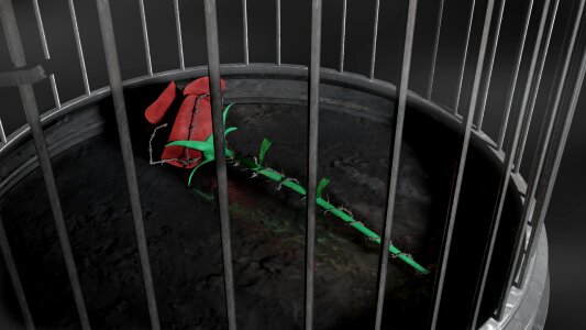 Barbed wire green flower