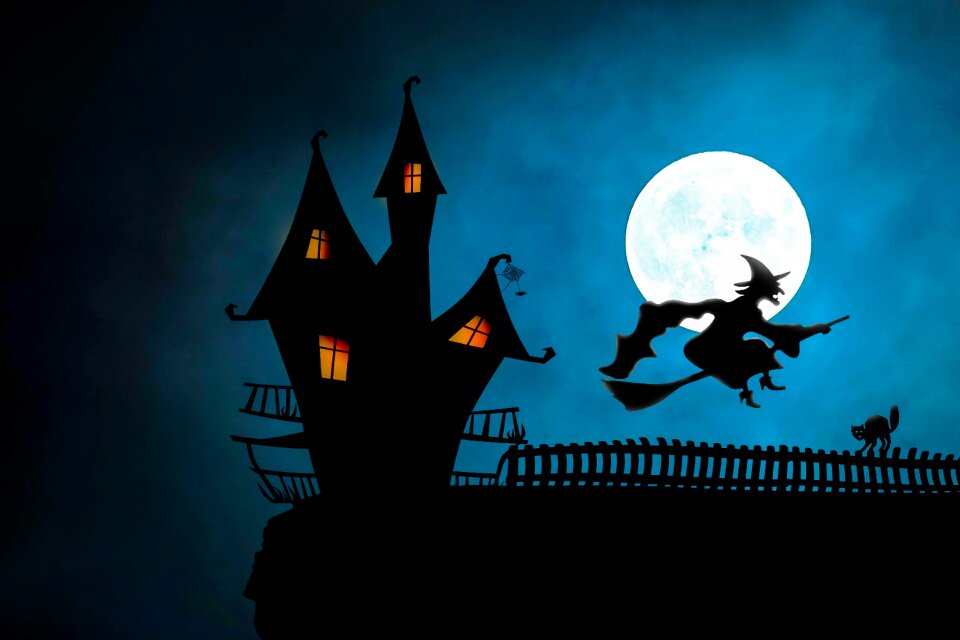 Broomstick cat full moon