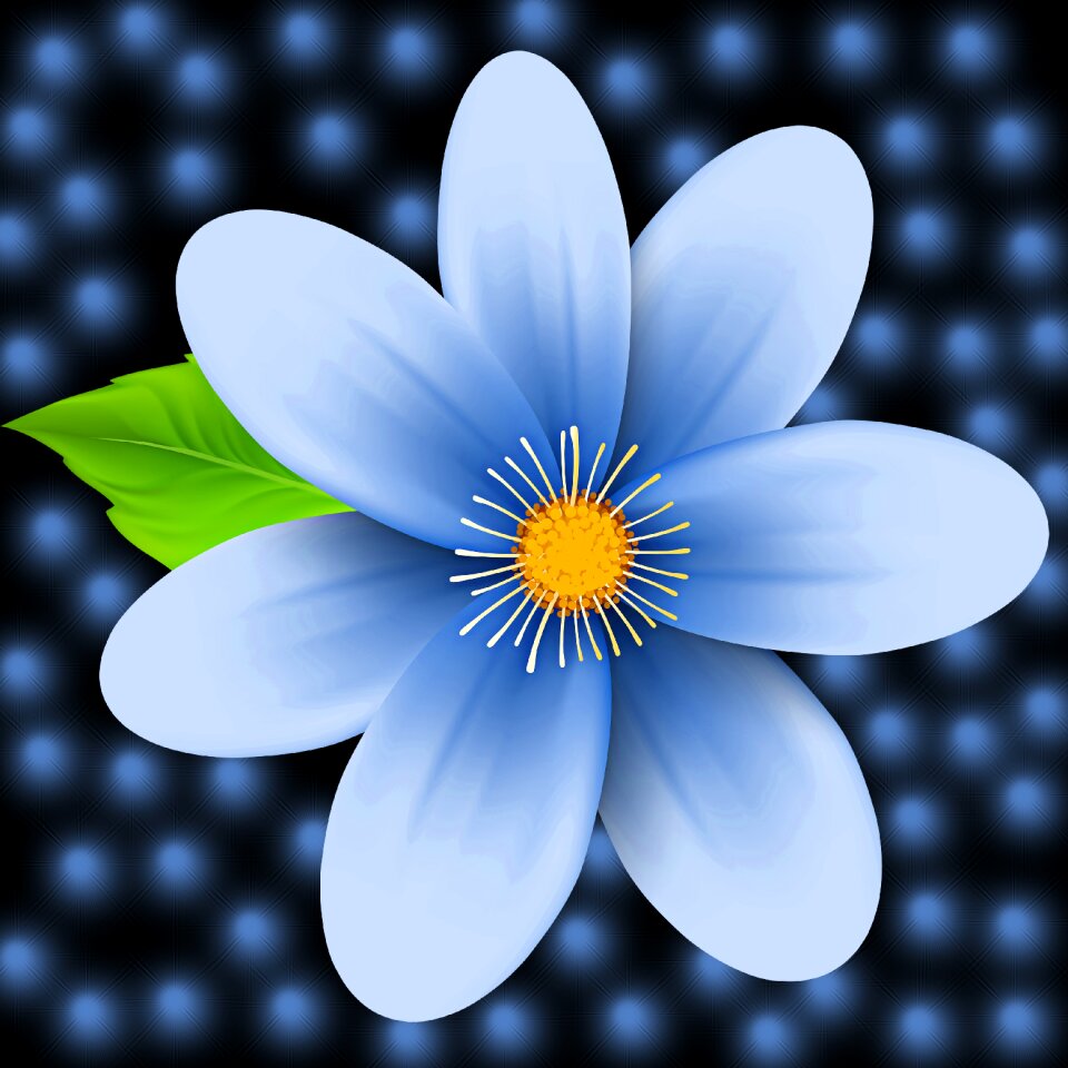Plant summer flower celeste