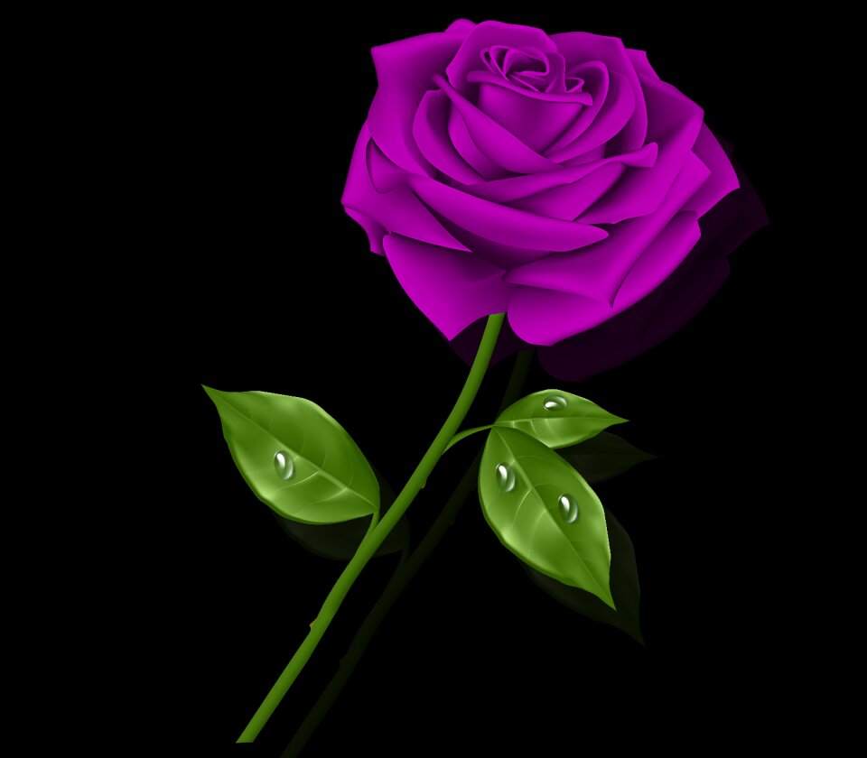 Nature petal rosa