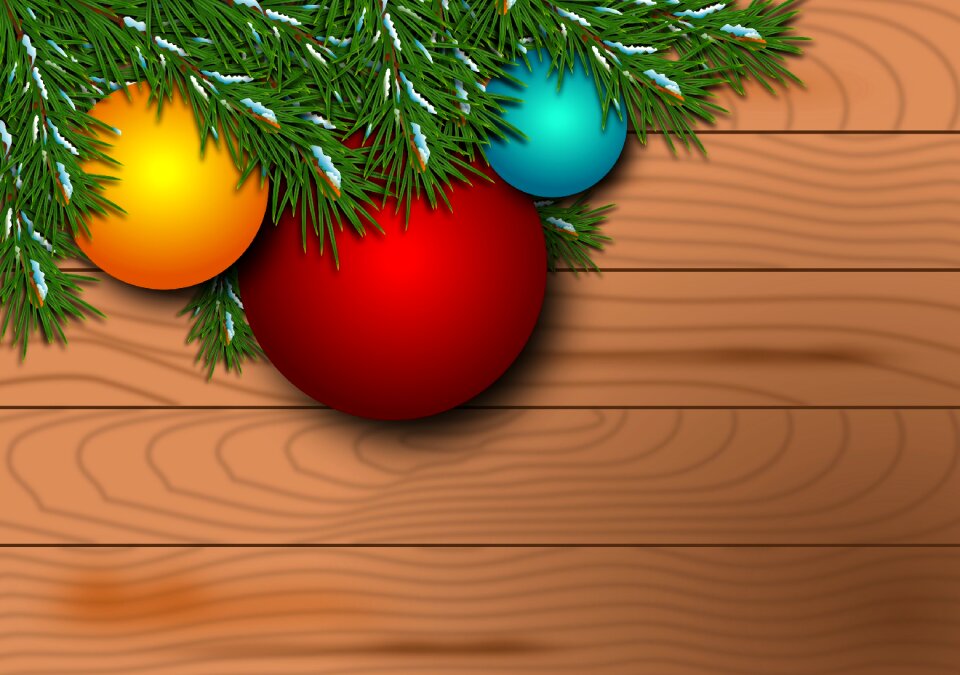 Festivity pinheiro branch