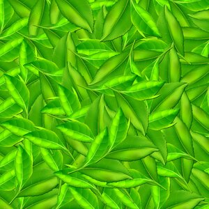 Background sheets green background color