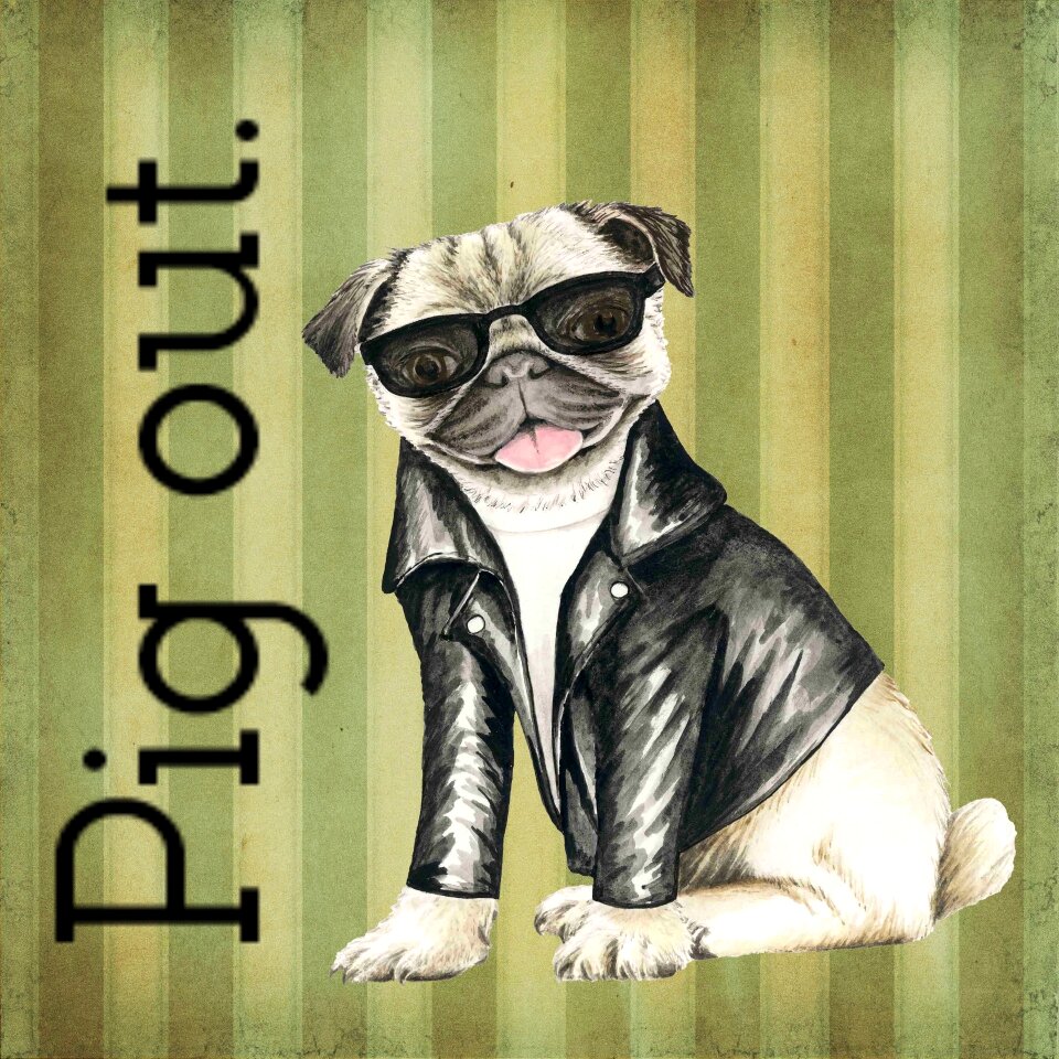 Sunglasses jacket pig out