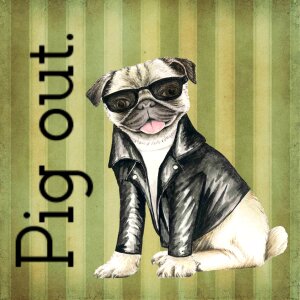 Sunglasses jacket pig out