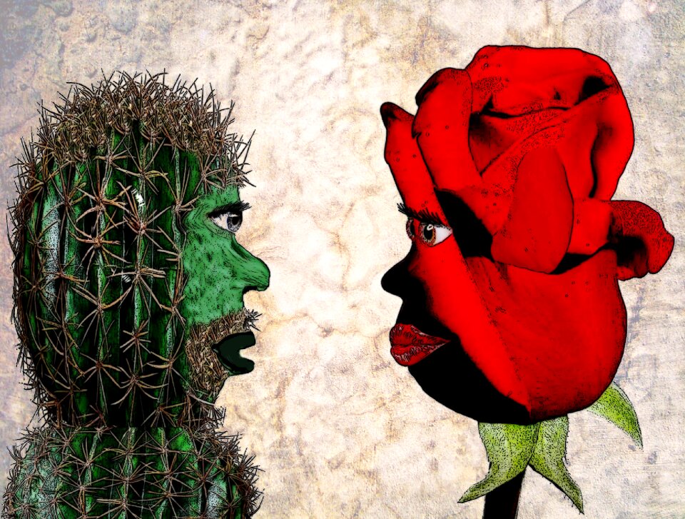 Rose pair love
