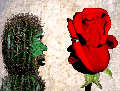 Rose pair love