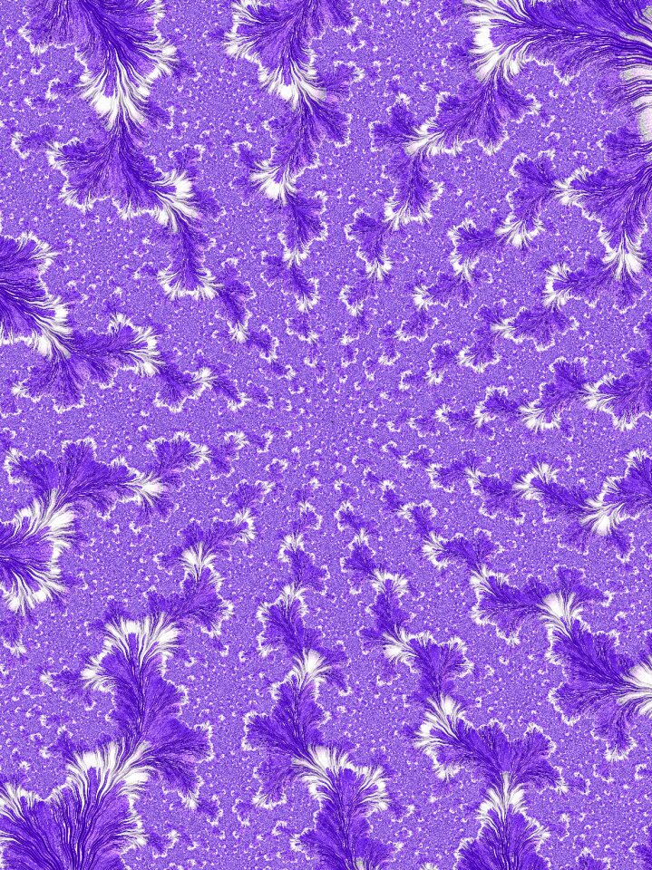 Lilac flower lilac pattern Free illustrations