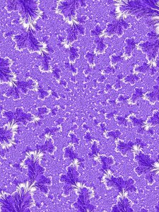 Lilac flower lilac pattern Free illustrations