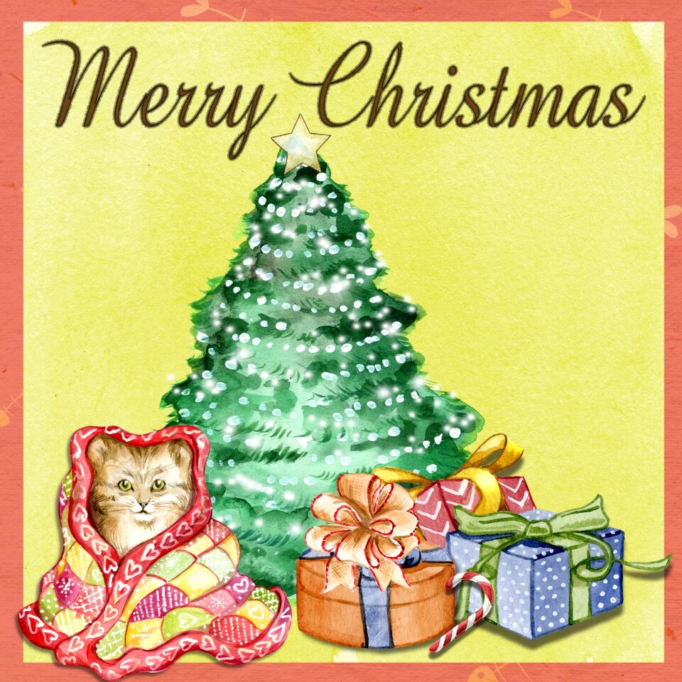 Christmas tree tree holiday