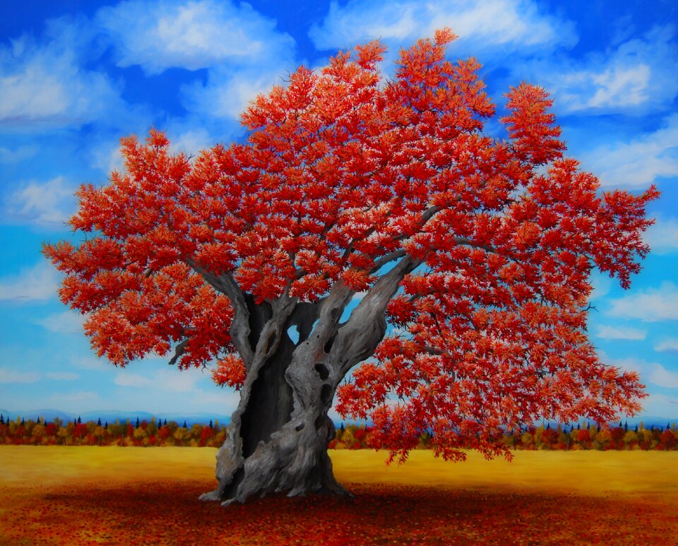 Rossa quercus Free illustrations