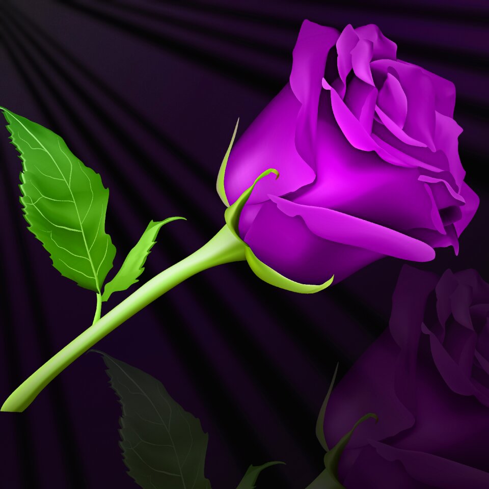 Leaf rosa pink violet