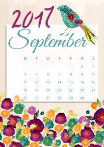 Floral bird romantic