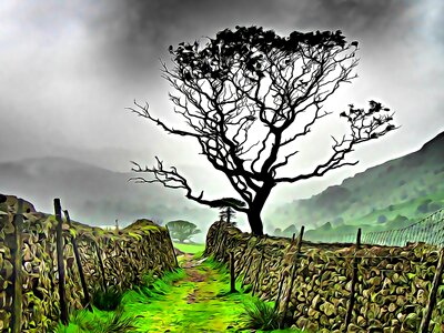 Tree cloud outdoors