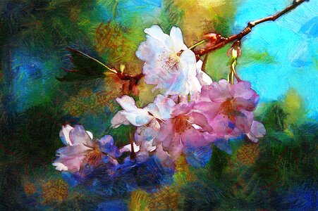 Flowers impressionism flora
