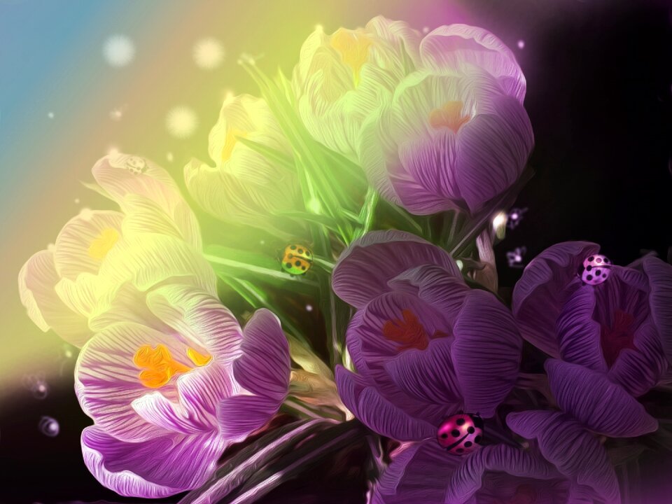 Bloom fantasy spring