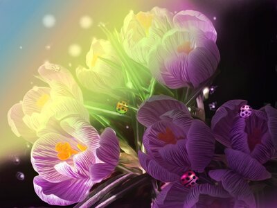 Bloom fantasy spring