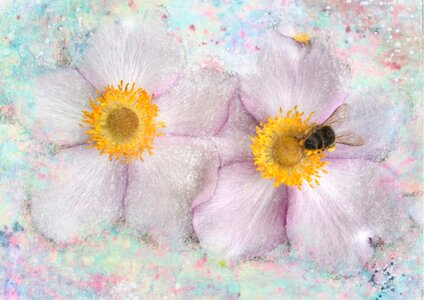 Background watercolour Free illustrations
