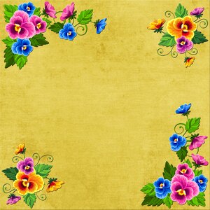 Background sheet graphic