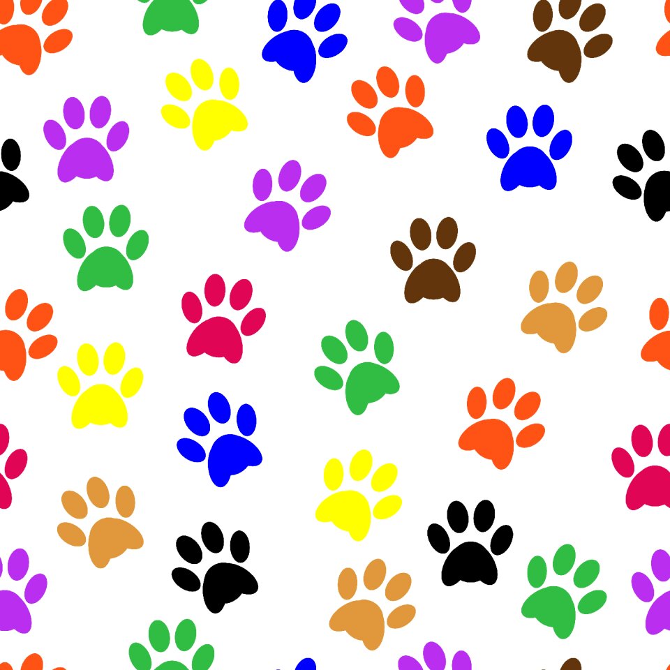 Animal pet dog