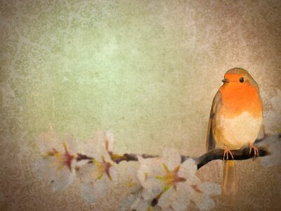 Flowers photoshop background