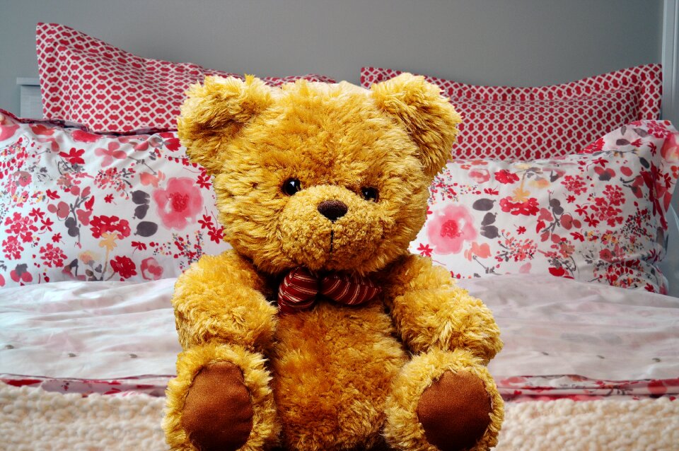 Toy cute brown