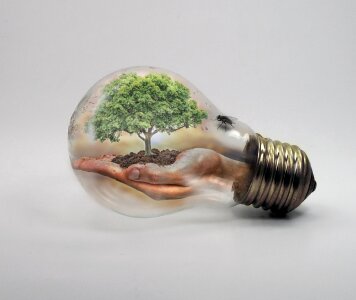 Climate change tree hand