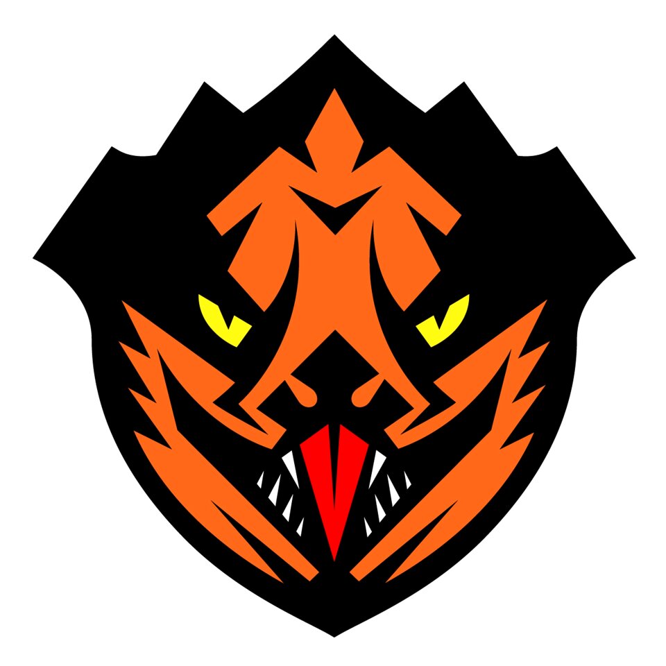 Character design adobe illustrator logo design