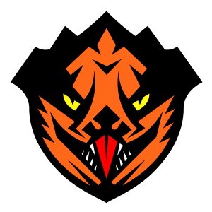 Character design adobe illustrator logo design