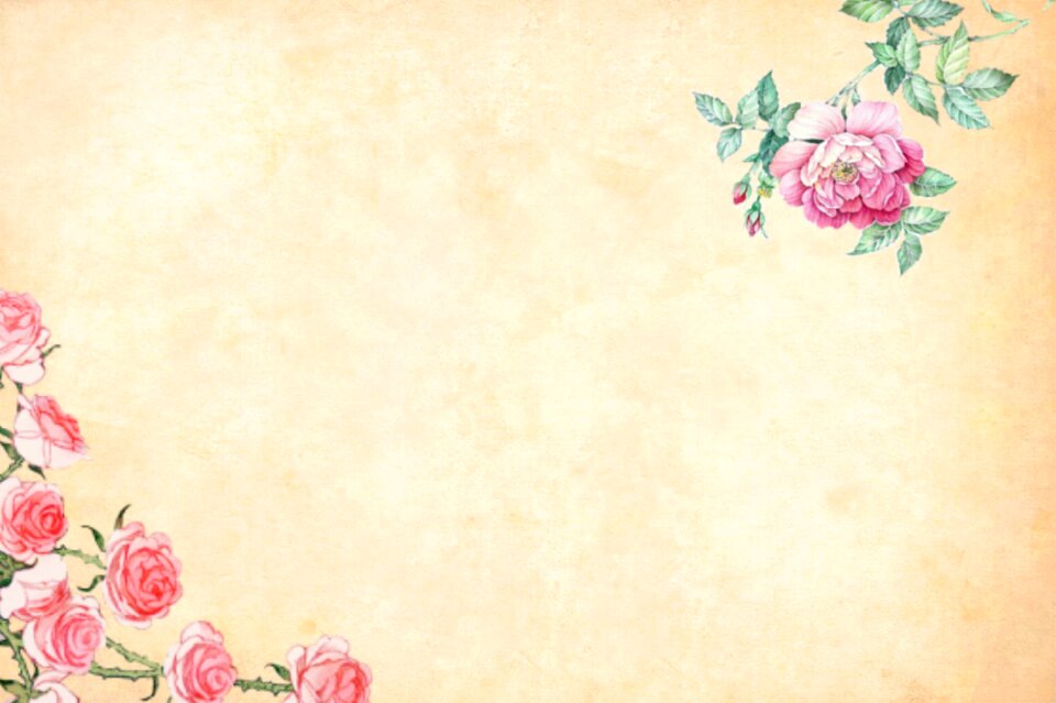Floral border garden frame