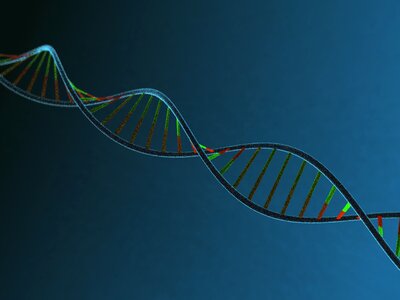 Molecule biology genetic