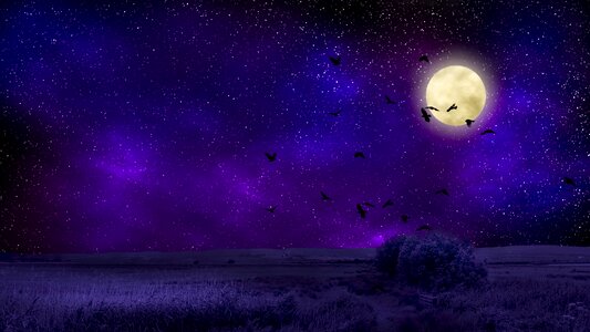 Sky dark lunar