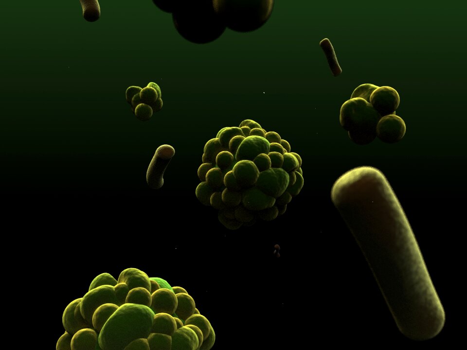 Microorganism organism human