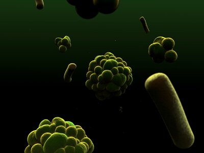 Microorganism organism human