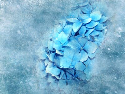 Watercolour blue watercolor Free illustrations