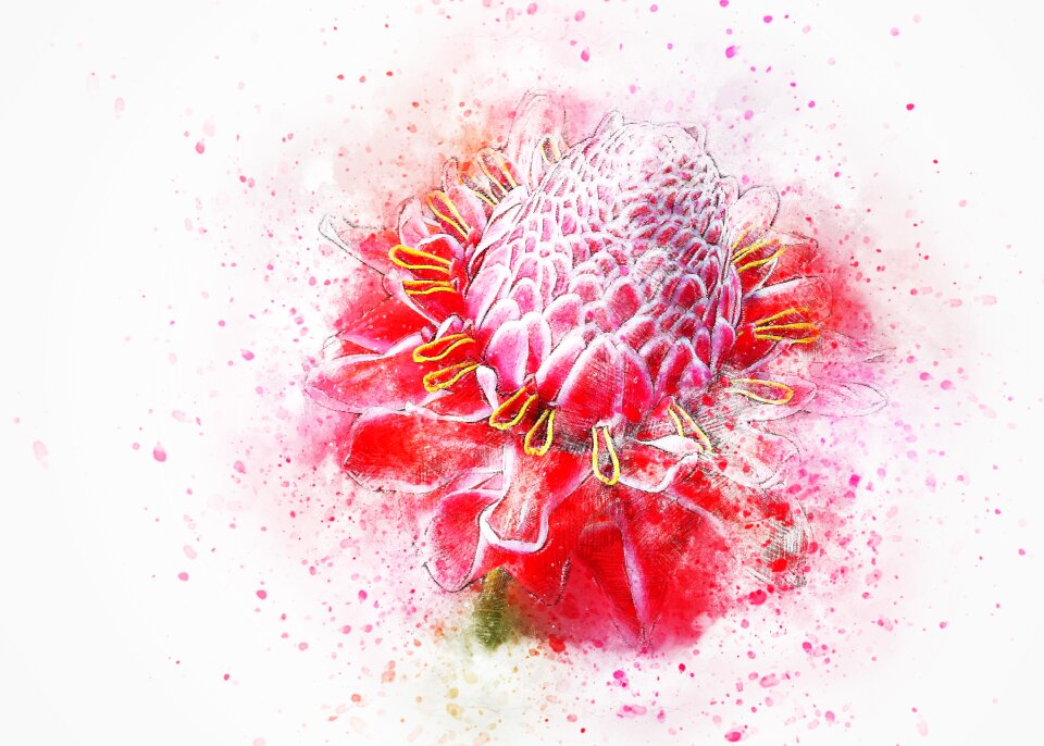 Art abstract nature